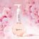 ._0029_Volume-Shampoo_0001_CCCSH0000000642-B